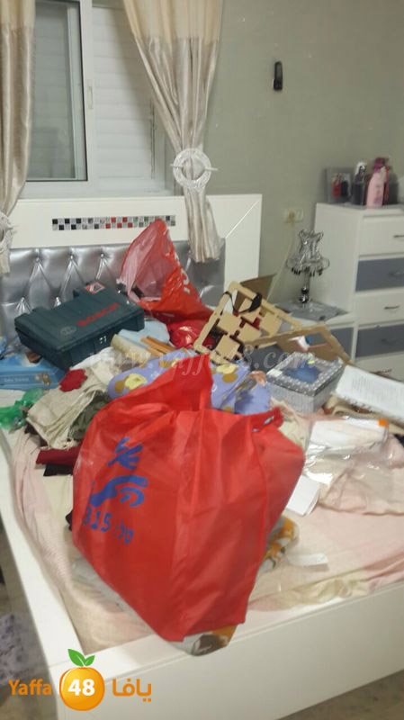 lud modahama3 (9).JPG